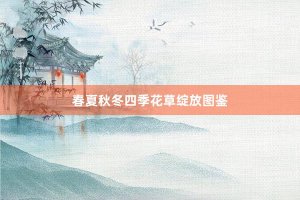春夏秋冬四季花草绽放图鉴